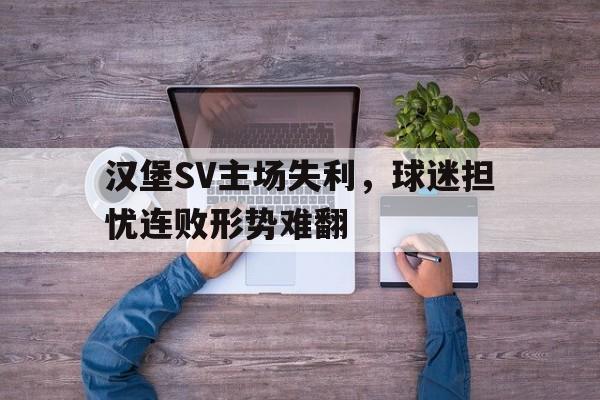汉堡SV主场失利，球迷担忧连败形势难翻的简单介绍